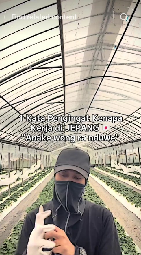 Susah payah sekolah sarjana, pria ini kabur jadi petani muda di Jepang, digaji Rp20 juta, ini kisahnya