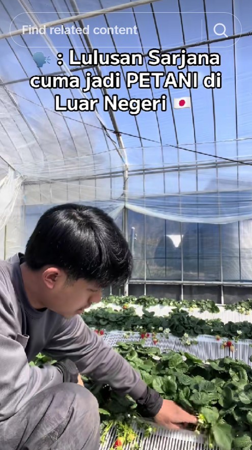 Susah payah sekolah sarjana, pria ini kabur jadi petani muda di Jepang, digaji Rp20 juta, ini kisahnya