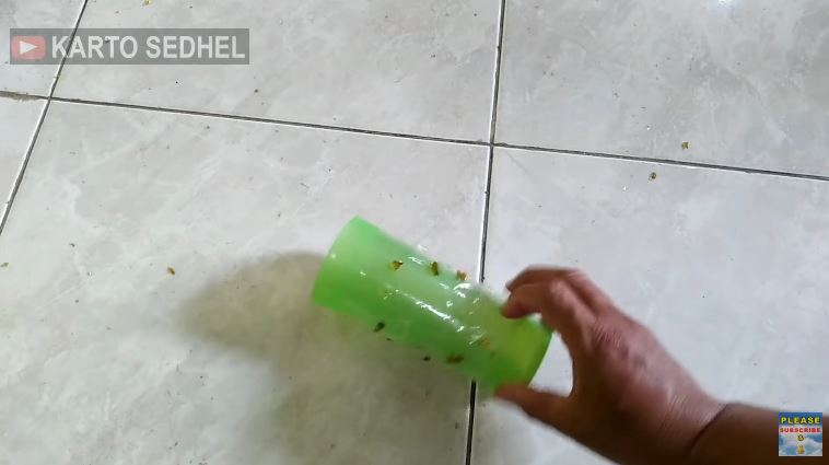 Trik bersihkan pecahan piring kaca di lantai tanpa disapu, pakai 2 alat sederhana