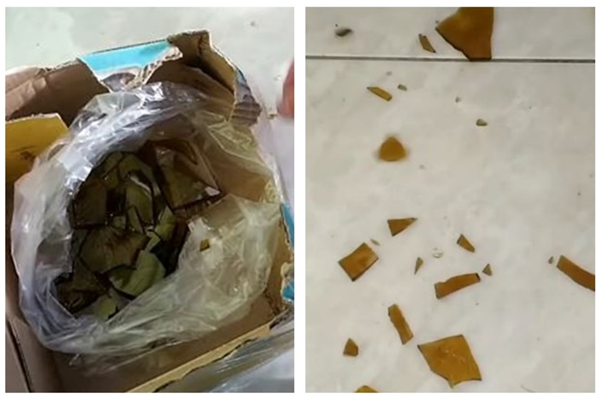Trik bersihkan pecahan piring kaca di lantai tanpa disapu, pakai 2 alat sederhana