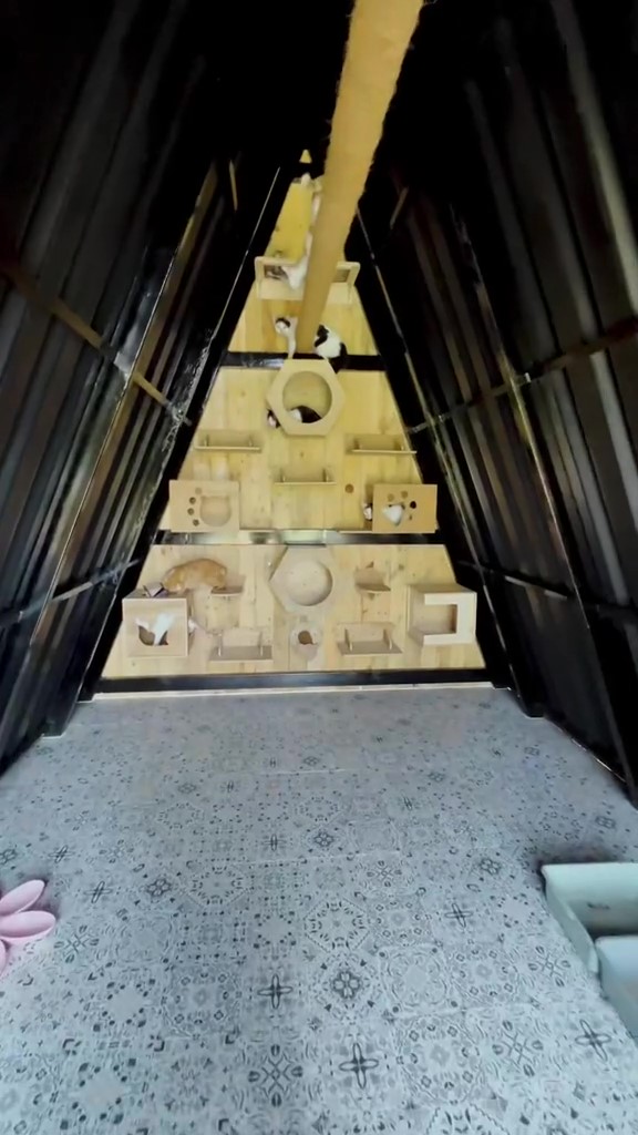 Dibangun di lahan 6.000 meter persegi, intip 11 potret makeover hunian Dodit Mulyanto di hutan