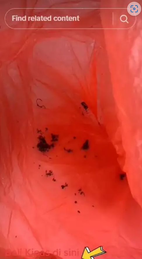 Trik mudah bersihkan debu kipas angin dalam 5 menit tanpa dibongkar, cuma pakai 3 bahan dapur