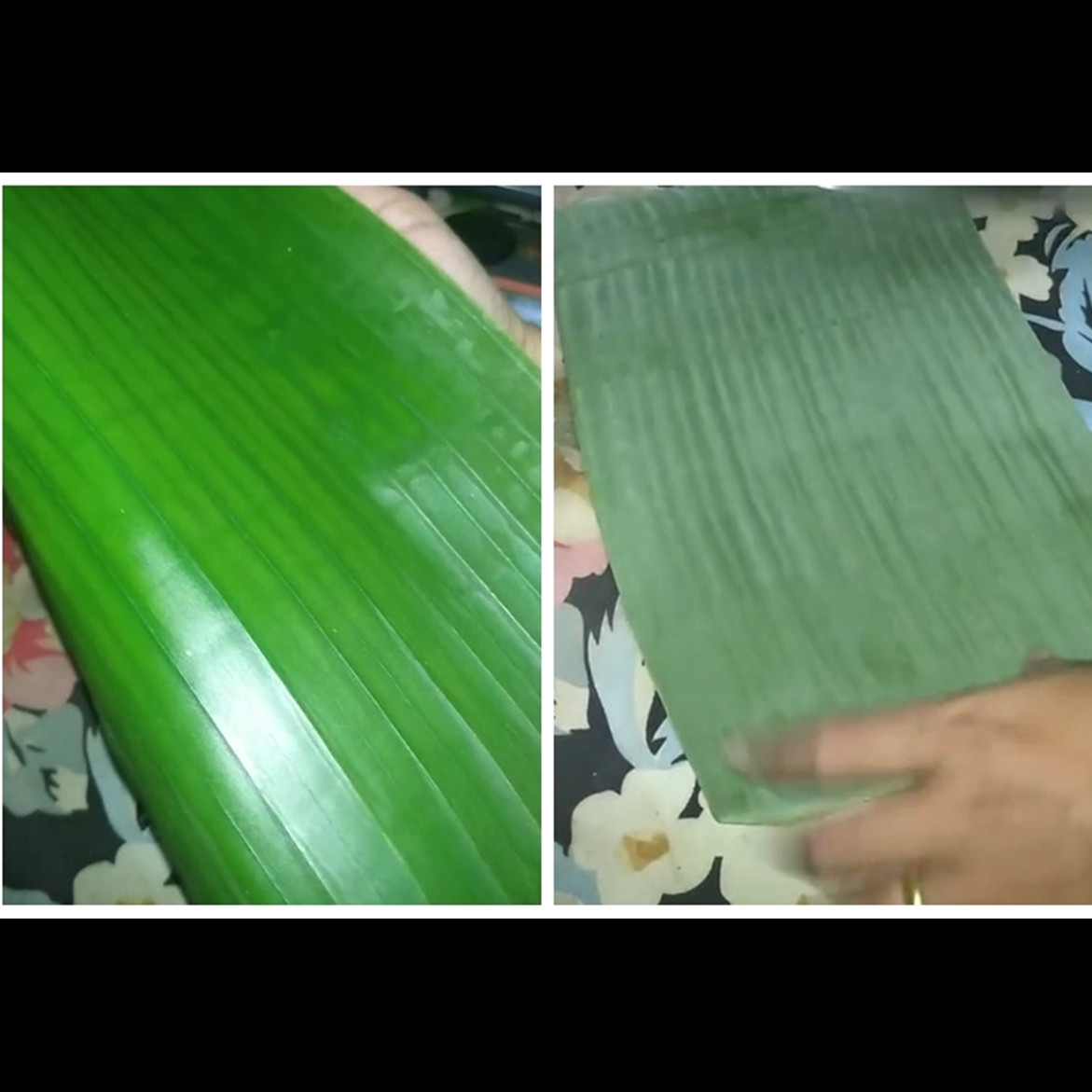 Trik simpel melenturkan daun pisang agar tidak mudah sobek tanpa dibakar atau dikukus