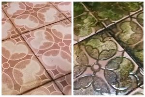 Trik mudah bersihkan lumut lantai kamar mandi tanpa dioles sitrun, kembali kesat pakai 2 bahan dapur