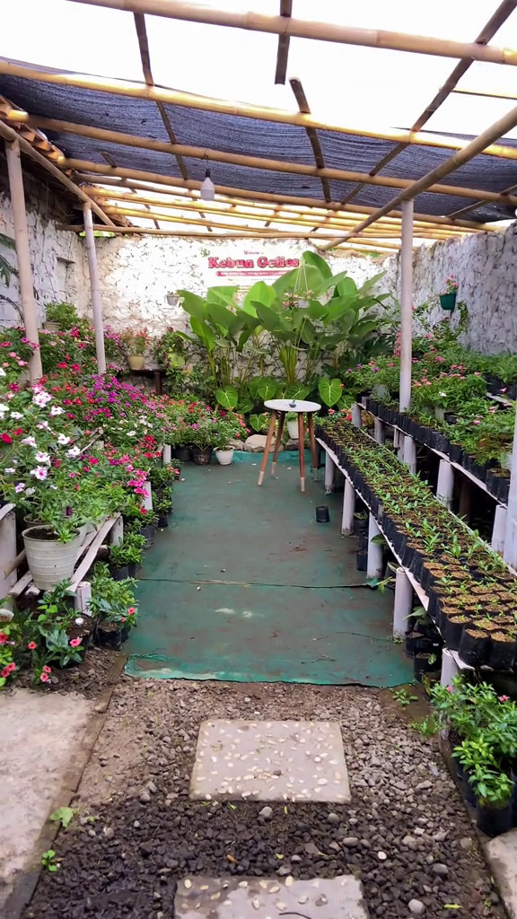 Dari luar tampak rumah jadul tapi dalamnya ada hidden gems, intip 9 potretnya yang memanjakan mata