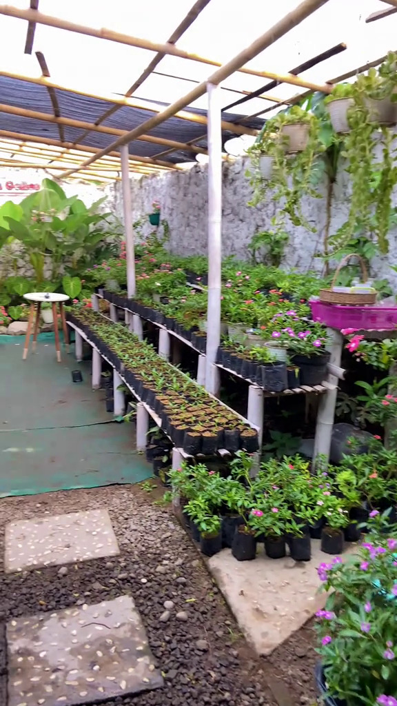 Dari luar tampak rumah jadul tapi dalamnya ada hidden gems, intip 9 potretnya yang memanjakan mata