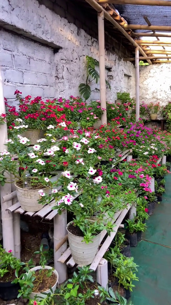 Dari luar tampak rumah jadul tapi dalamnya ada hidden gems, intip 9 potretnya yang memanjakan mata