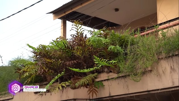 Niat renovasi malah ditipu Rp 500 juta, 11 potret rumah masa kecil Nikita Mirzani yang terbengkalai