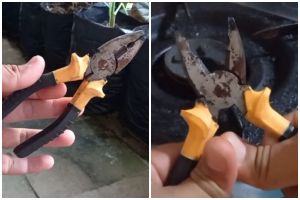 Tak perlu repot keluar biaya, ini trik memperbaiki tang macet karena karatan pakai 1 alat dapur