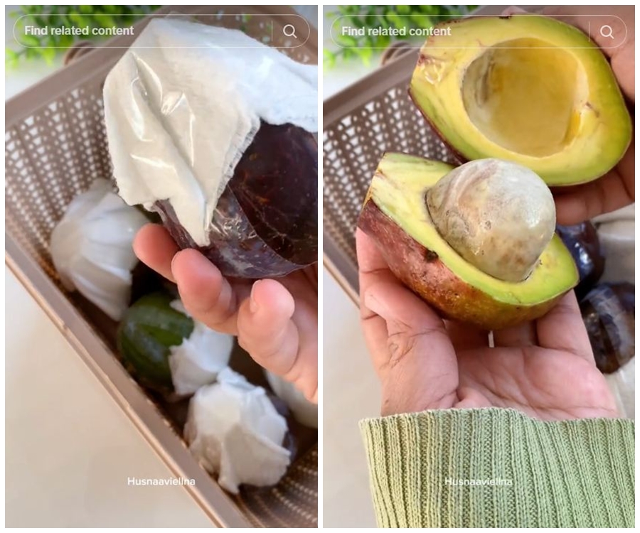 Trik cepat mematangkan alpukat agar mulus dan tidak busuk tanpa diperam dalam beras atau ditusuk lidi