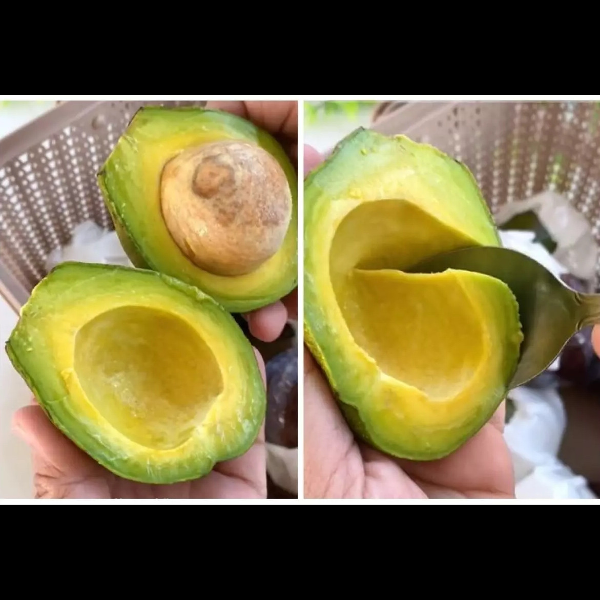 Trik cepat mematangkan alpukat agar mulus dan tidak busuk tanpa diperam dalam beras atau ditusuk lidi