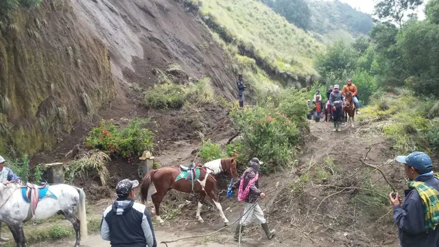 Heboh temuan ladang ganja di Taman Nasional Bromo Tengger Semeru, letaknya sangat tersembunyi