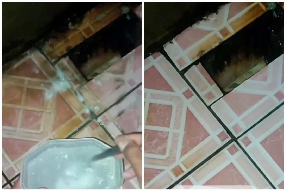 Trik hilangkan lumut di lantai kamar mandi tanpa digosok sitrun, seketika bersih pakai 2 bumbu dapur