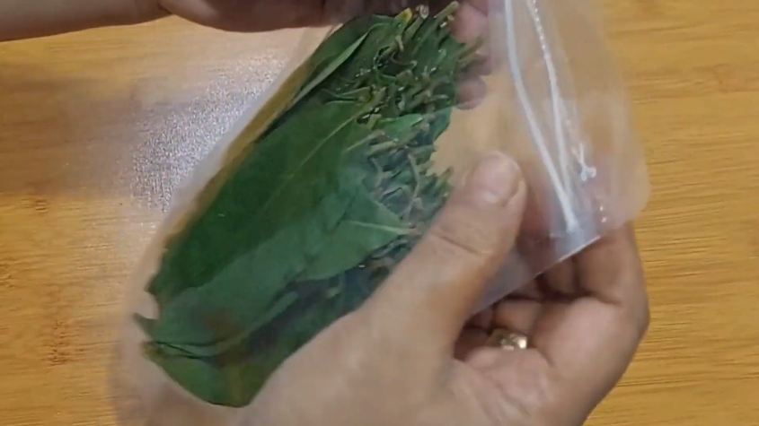 Cara praktis simpan daun salam agar tetap segar tanpa harus dijemur