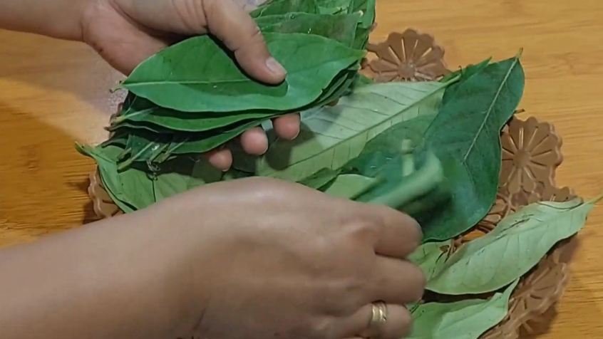 Cara praktis simpan daun salam agar tetap segar tanpa harus dijemur