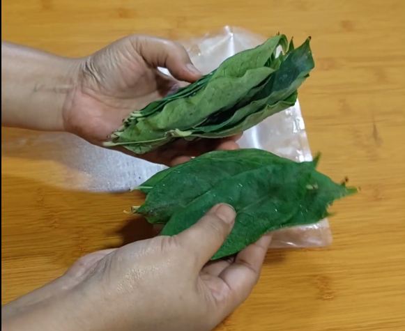 Cara praktis simpan daun salam agar tetap segar tanpa harus dijemur