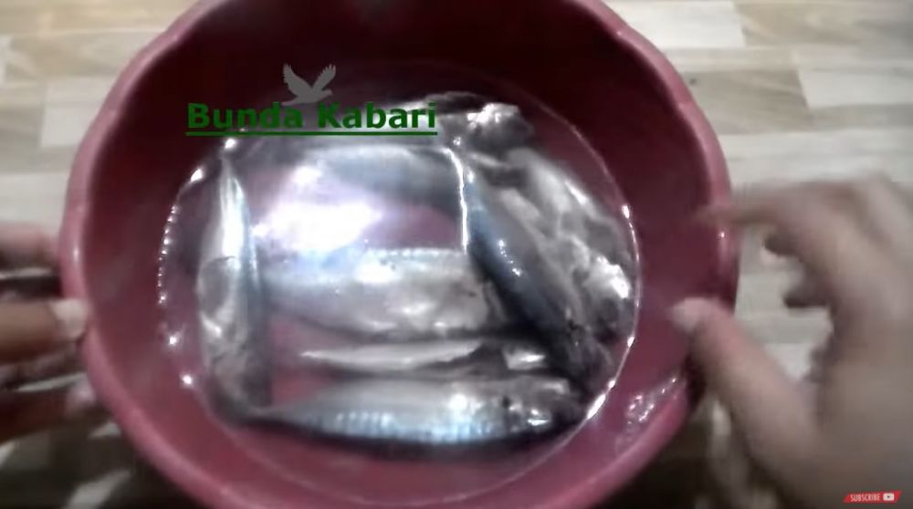 Cara mudah menghilangkan formalin pada ikan hanya dengan 1 bahan saja