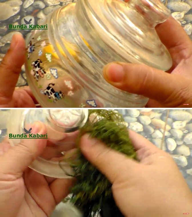 Tanpa pakai sabun, ini trik bersihkan toples kaca kusam cuma pakai 1 bahan dapur hasil lebih kinclong