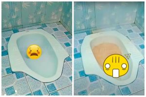 Trik mudah mengatasi WC mampet tanpa disiram air panas, cuma andalkan 3 bahan dapur