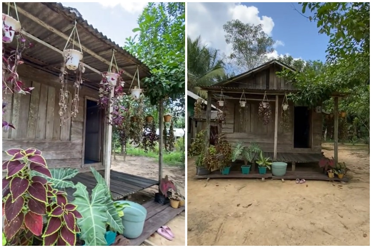 Luarnya mirip gubuk usang di tengah hutan, 9 potret rumah kayu ini sedap dipandang meski colorful