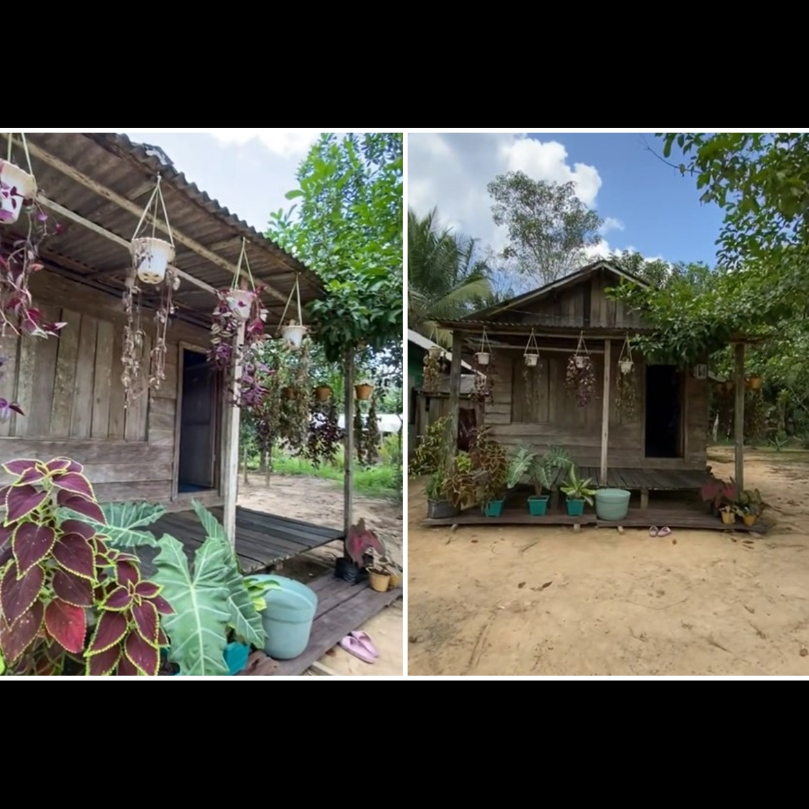 Luarnya mirip gubuk usang di tengah hutan, 9 potret rumah kayu ini sedap dipandang meski colorful