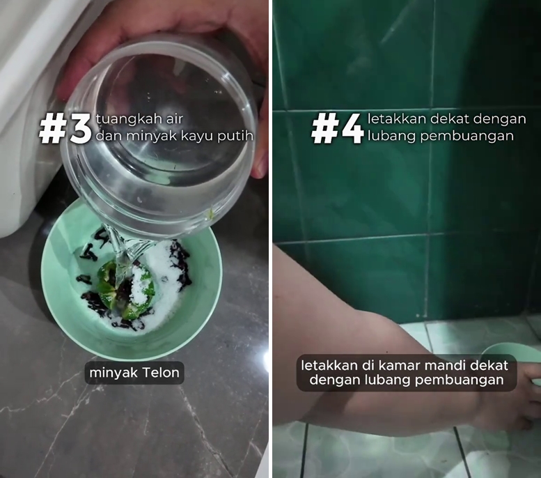 Tanpa semprotan khusus, ini trik ampuh usir kecoak dari toilet secara alami cuma pakai 3 bahan dapur