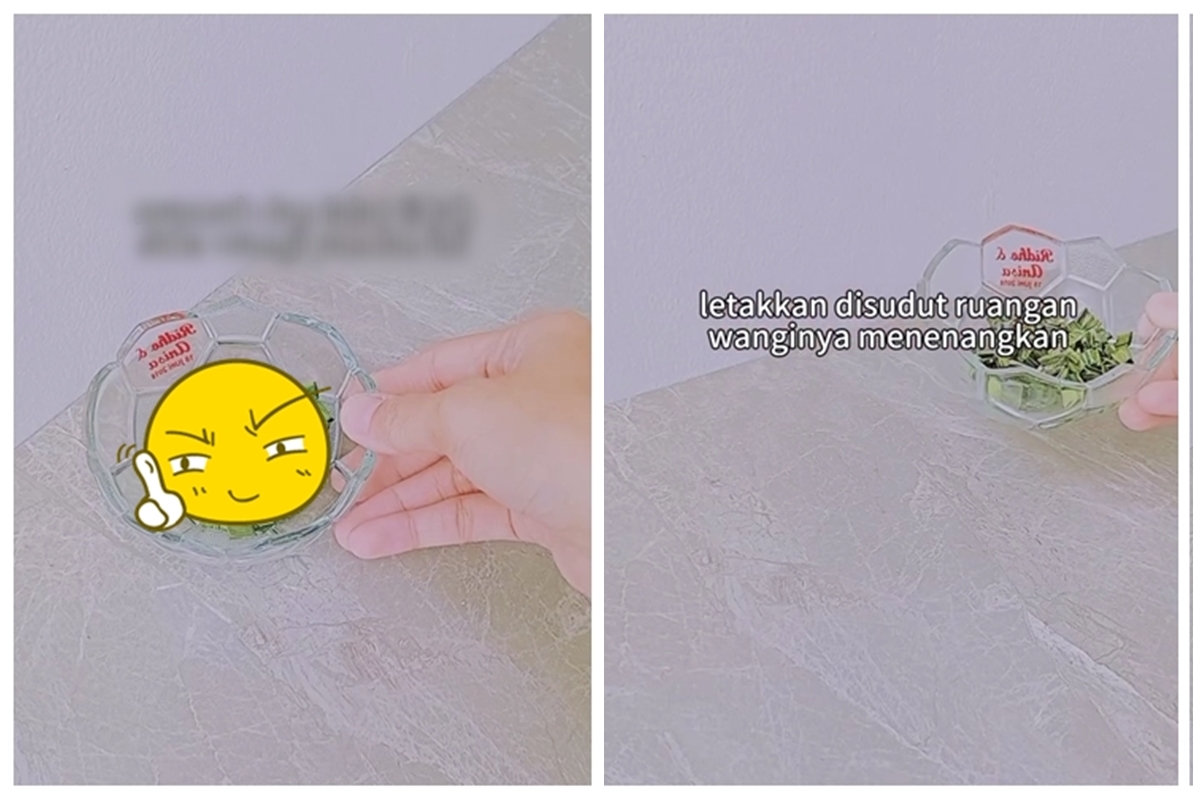 Trik mudah bikin pengharum ruangan pakai 2 bahan dapur, wanginya ampuh usir nyamuk dan lalat