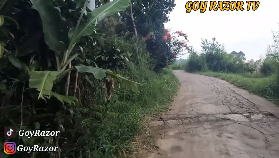 Mirip istana di tengah sawah, 11 potret disebut rumah Anjasmara 5 tahun tak terurus