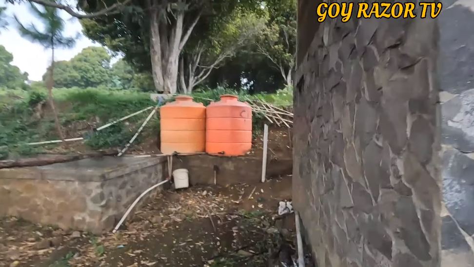 Mirip istana di tengah sawah, 11 potret disebut rumah Anjasmara 5 tahun tak terurus