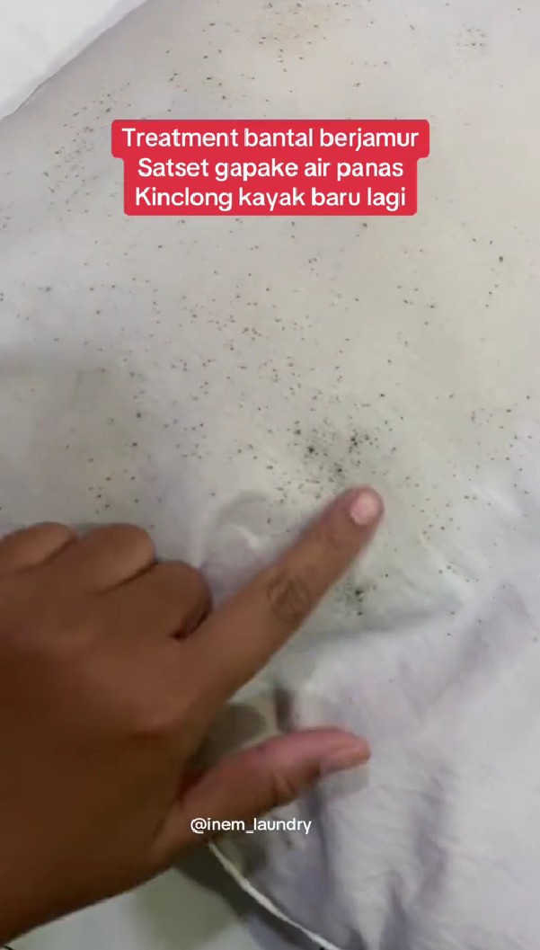 Trik agar bantal berjamur jadi bersih seperti baru pakai 1 bahan dapur, tak perlu direndam air panas