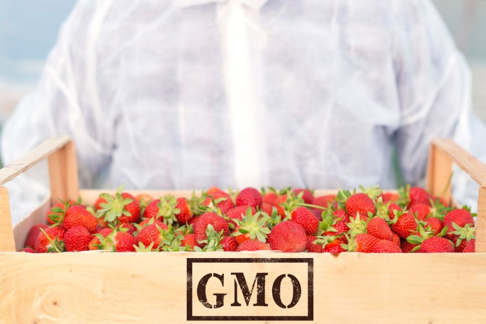 Mengungkap kode angka di stiker buah impor: Organik, konvensional, atau modifikasi genetika?