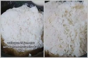 Trik simpan nasi di rice cooker agar tetap lembap semalaman dengan satu bahan ini