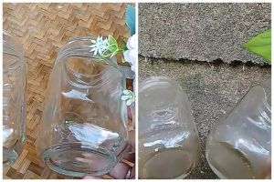 Cara ampuh hilangkan kerak teh di gelas kaca tanpa pemutih, andalkan 1 bahan dapur