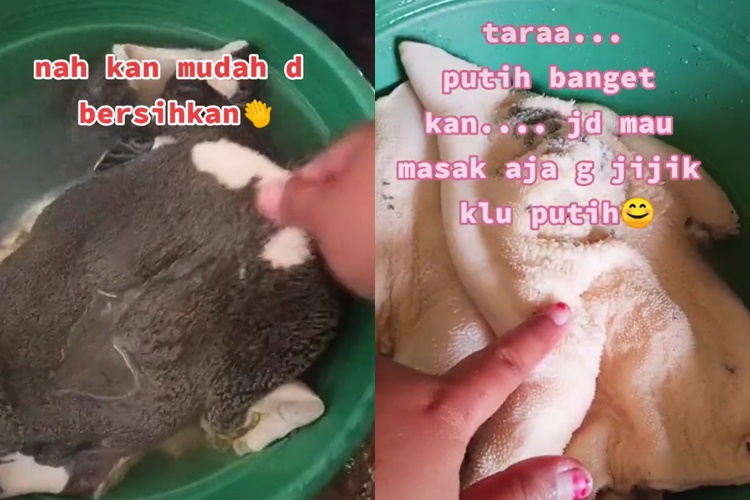Trik mudah bersihkan babat agar putih dan bebas bau, cukup pakai 1 bahan ini