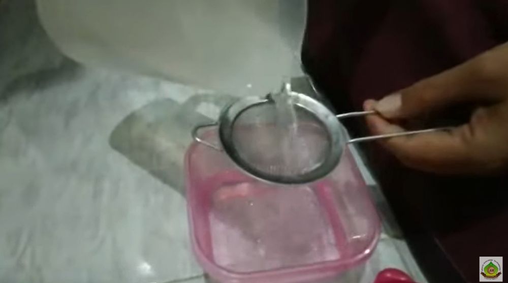 Rahasia menyimpan air kelapa tanpa freezer, tetap segar berhari-hari