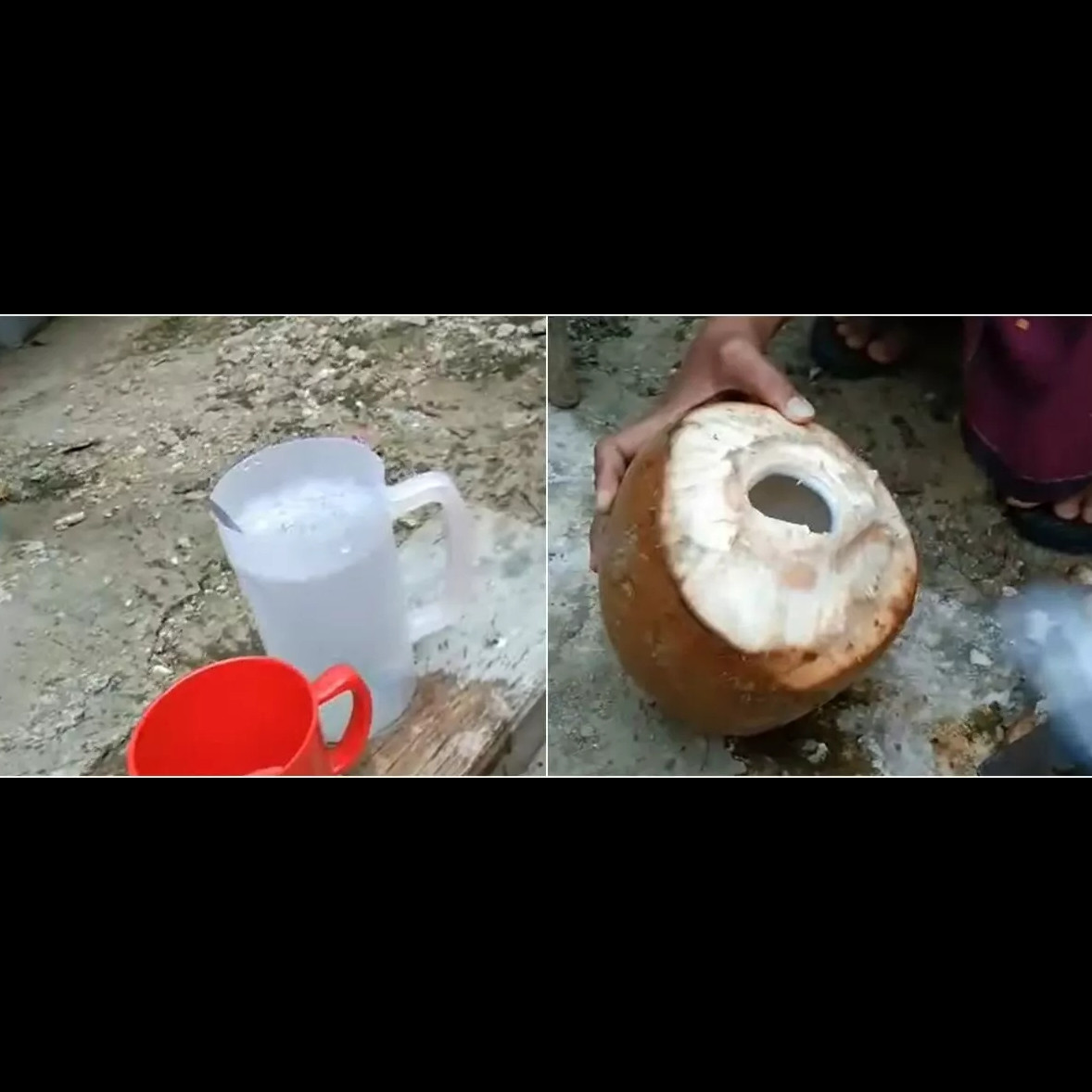 Rahasia menyimpan air kelapa tanpa freezer, tetap segar berhari-hari