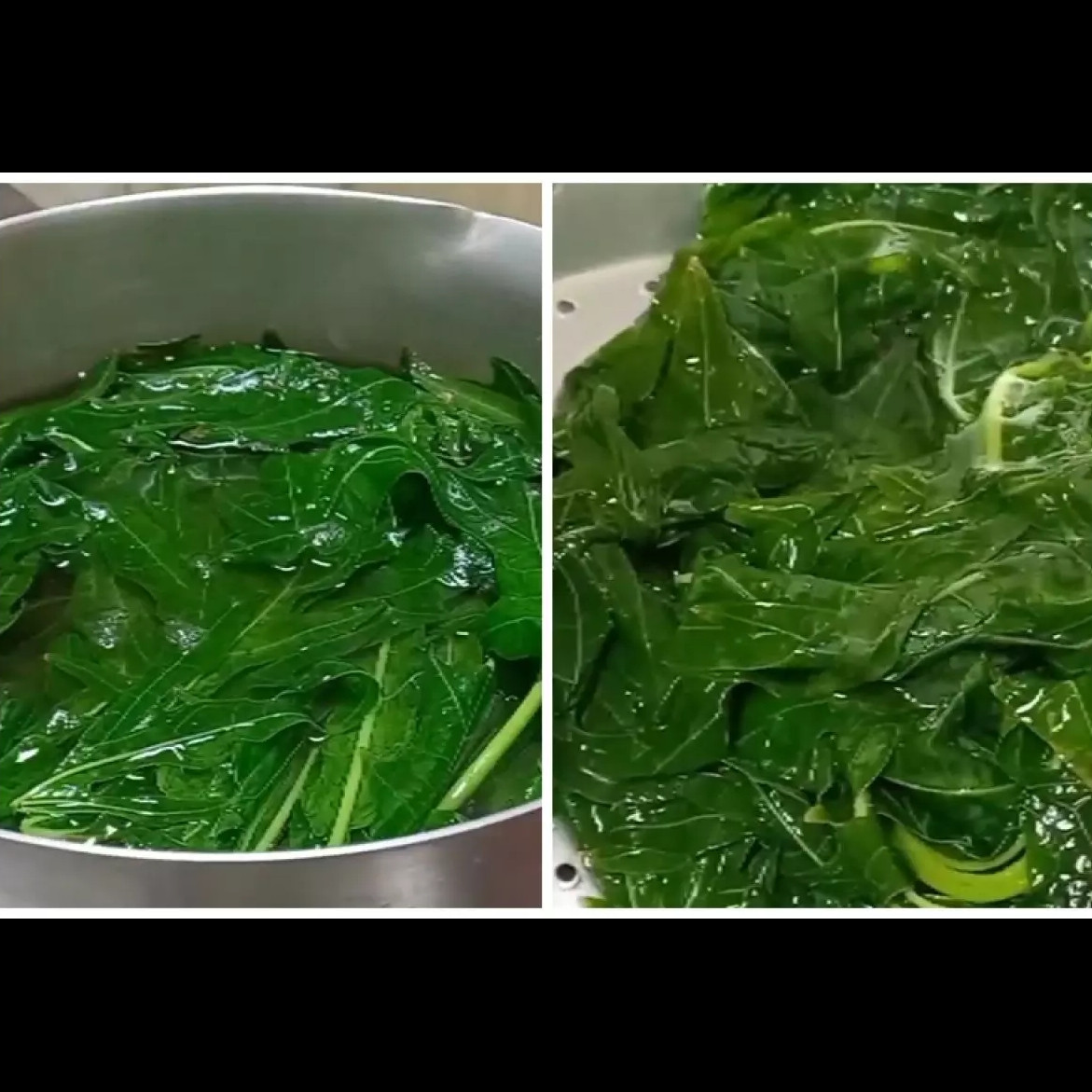 Cara mudah menghilangkan rasa pahit daun pepaya tanpa tanah liat