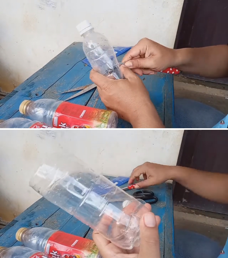 Tak perlu beli lem perekat, ini cara bikin perangkap lalat sederhana pakai 1 barang bekas