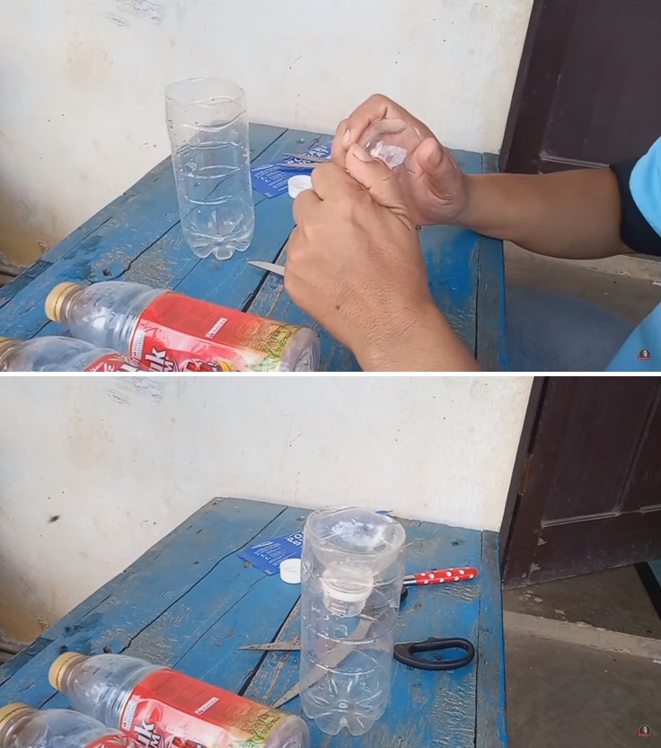 Tak perlu beli lem perekat, ini cara bikin perangkap lalat sederhana pakai 1 barang bekas