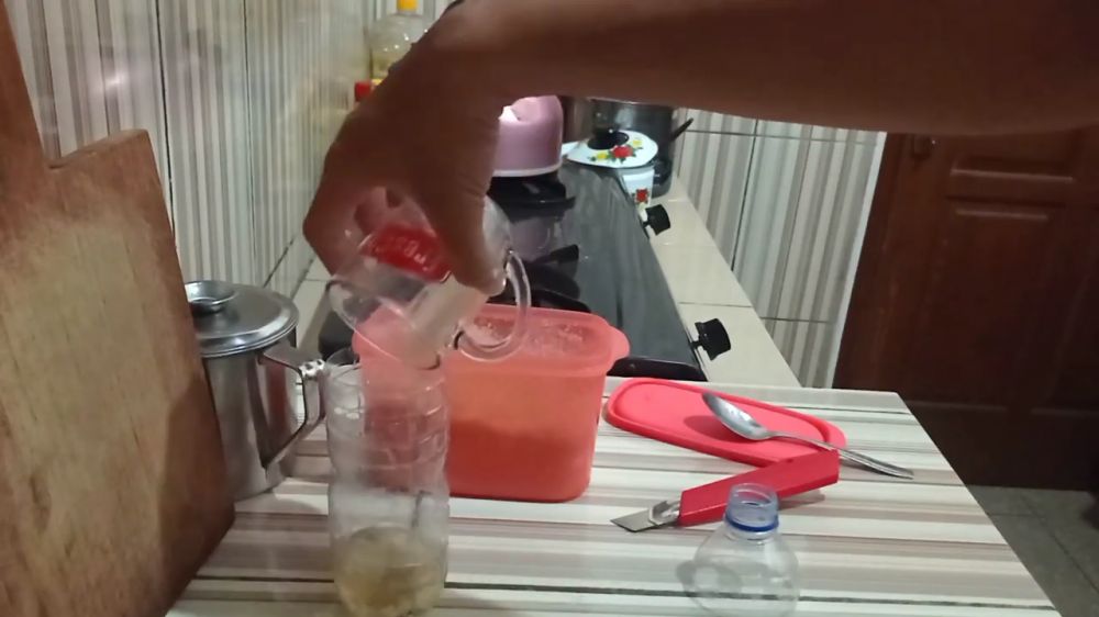 Trik simpel menangkap cicak tanpa ditangkap tangan, cuma andalkan 3 bahan dapur