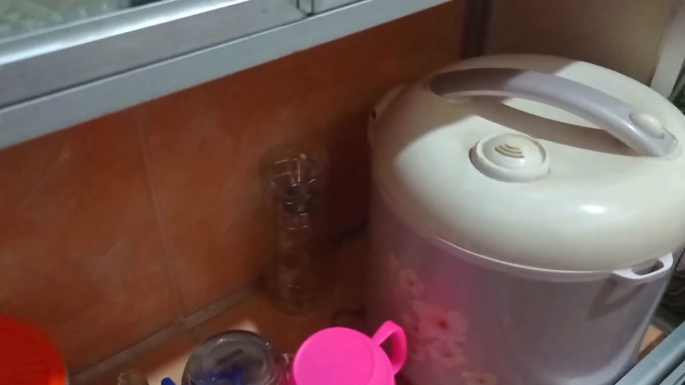 Trik simpel menangkap cicak tanpa ditangkap tangan, cuma andalkan 3 bahan dapur