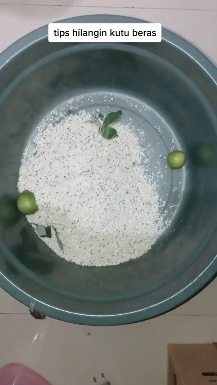 Hanya pakai 2 bahan dapur, ini cara cepat hilangkan kutu pada beras