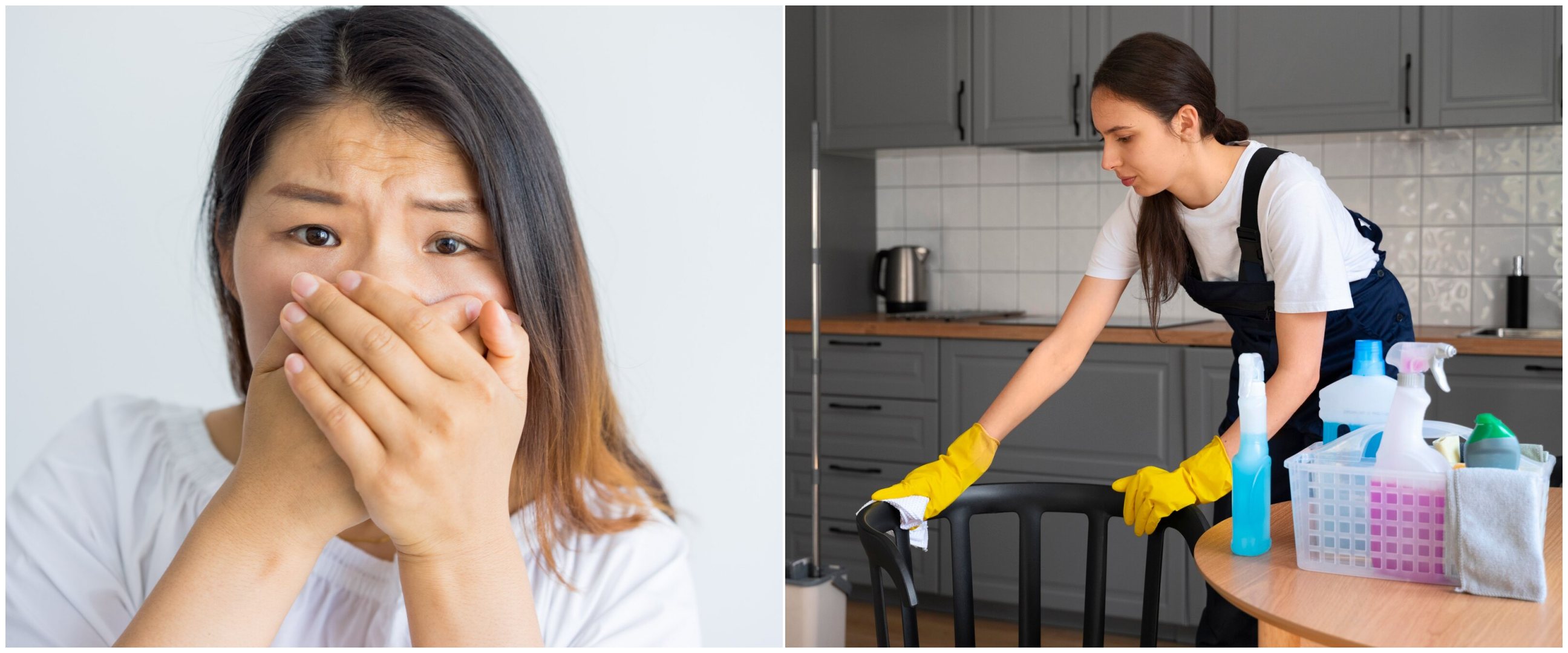 Siapa sangka, debu di rumah ternyata berasal dari tubuhmu sendiri