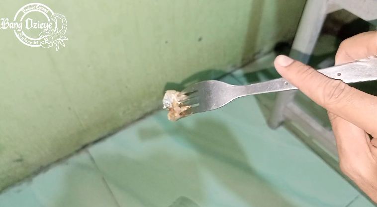 Trik bapak-bapak menangkap tikus tanpa perangkap besi atau racun, kreatif cuma pakai 1 alat dapur