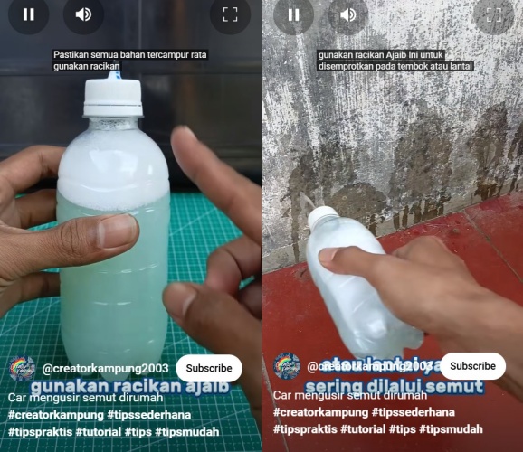 Trik bikin semut ngacir dari rumah tanpa semprotan pembasmi serangga, cuma tambah 2 bahan dapur ini