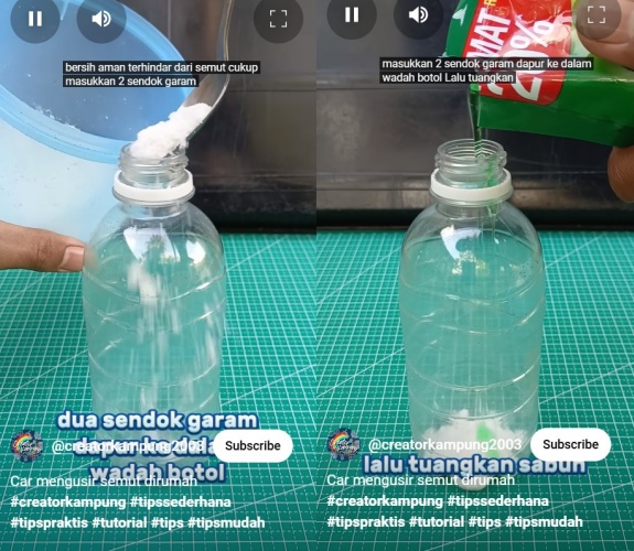 Trik bikin semut ngacir dari rumah tanpa semprotan pembasmi serangga, cuma tambah 2 bahan dapur ini