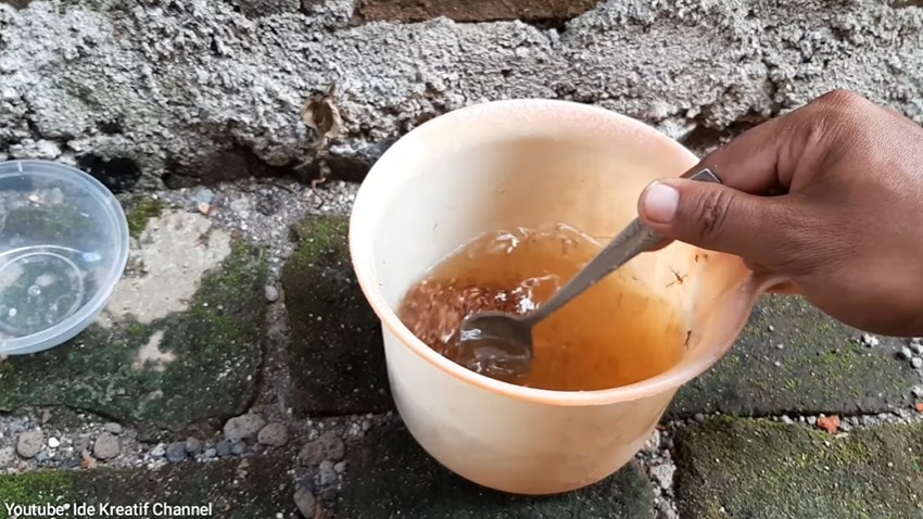Trik simpel membasmi rayap larutan tanpa garam, cuma tambah 1 bahan sederhana