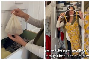 Trik agar lemari tak lembap dan bau tanpa menaruh kapur barus, cukup pakai 3 bahan dapur