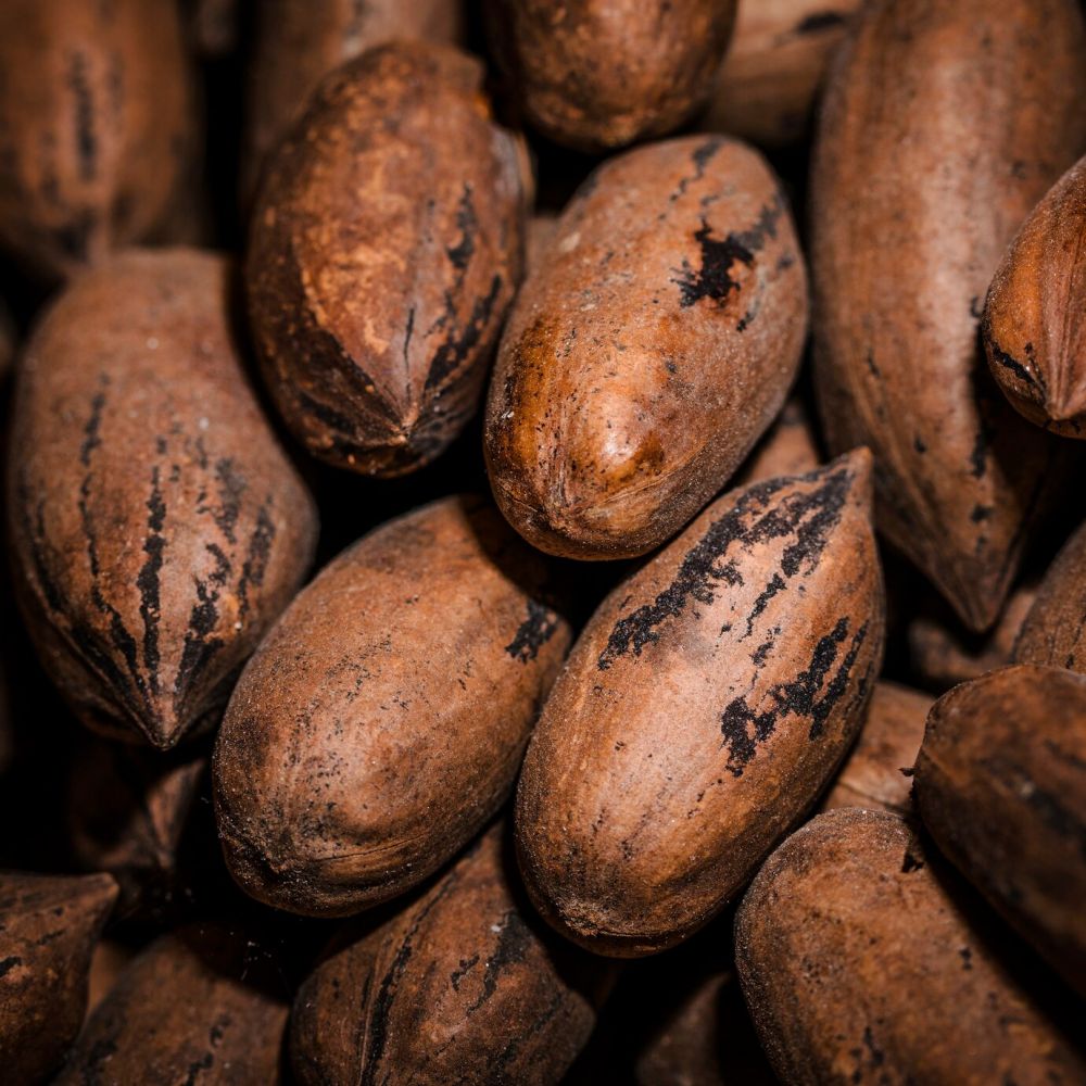 Lebih dari sekadar camilan, cokelat ternyata pernah menjadi mata uang di zaman Aztec