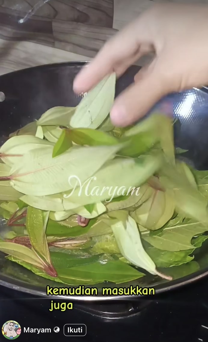 Trik simpel merebus daun pepaya agar antipahit dan hijau segar pakai 1 jenis daun berkhasiat